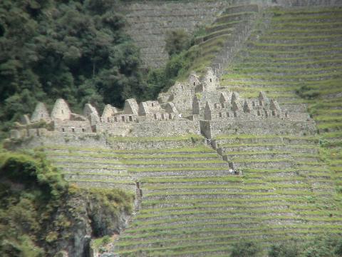 MachuPichu2005-00166-IncaTrail-Winaywayna