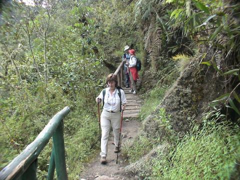 MachuPichu2005-00173-IncaTrail-Jami And Her Walking Sticks