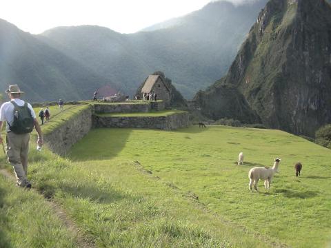 MachuPichu2005-00221-MachuPichu-Llama and Guards House