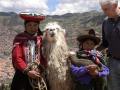 MachuPichu2005-00064-SacredValley-LlamaAndFriends