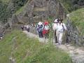 MachuPichu2005-00187-IncaTrail-Winaywayna-JamiOnSteps