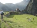 MachuPichu2005-00221-MachuPichu-Llama and Guards House
