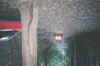 Reunion2002GroveGatorApproaching.jpg (330693 bytes)