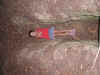 Reunion2002GroveKatieGrave.jpg (742260 bytes)