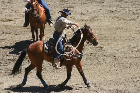 2004WoodsideJrRodeo629-BeccaRoping3