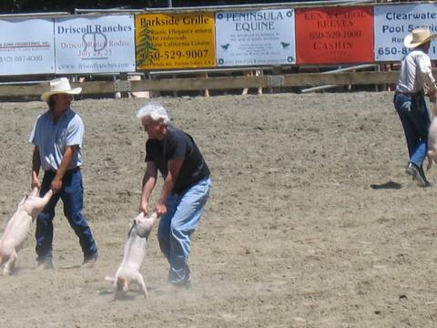 2004WoodsideJrRodeo643-GregPig2