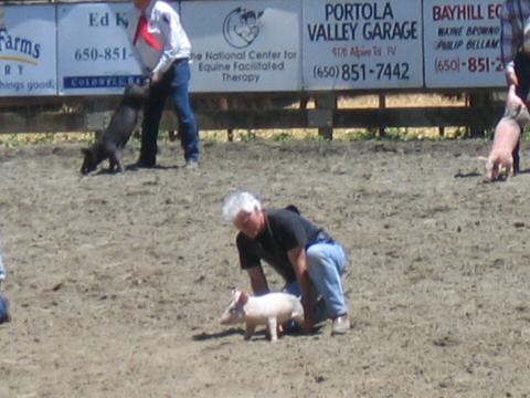 2004WoodsideJrRodeo644-GregPig3
