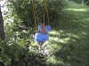 IKatySwing1.jpg (53291 bytes)