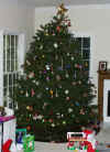 Xmas98Tree.jpg (21679 bytes)