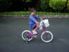 NewBike3010402.jpg (42212 bytes)
