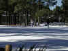 Xmas122601KatieSnowmanStephenAlton.jpg (672569 bytes)